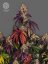 The Bulldog Seeds The Bulldog Gelato 17 Feminized, 3 and 5 pcs