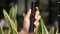 Flowermate Slick vaporizer review