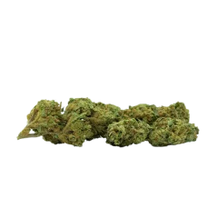 HHCP Flower Northern Lights, 6 % HHCP, 1 g - 10 000 g