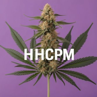 Растение канабис на лилав фон, текст: HHCPM