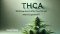 Text: THCA: How is it different from THC and what is its potential? Underneath, a cannabis plant and the Canatura Wholesale logo on a green background