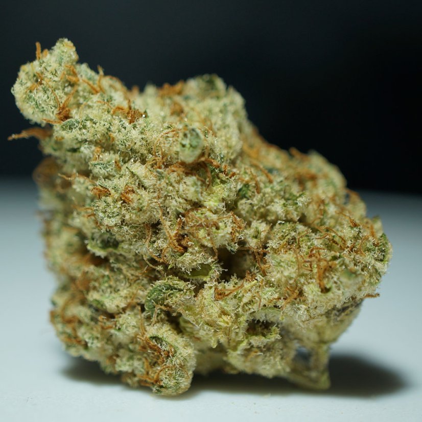 T.H.Seeds™ Cannabis Seeds Stracciatella™, various pack, feminized