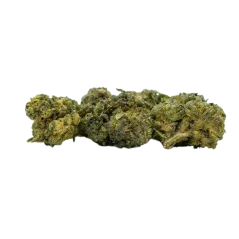 CBN flower Pineapple Haze - 40 % CBN, 100 g - 10 000 g