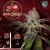 T.H.Seeds™ Cannabis Seeds Mon Cherry, various pack, feminized