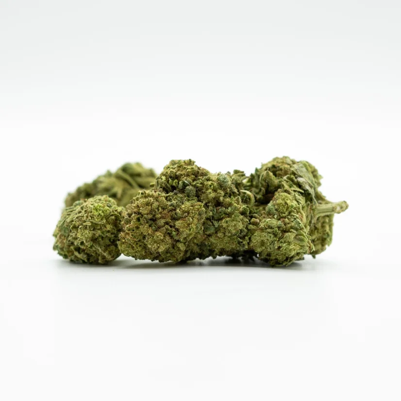CBD ziedu siltumnīcas popkukurūza, 1 000 g - 100 000 g