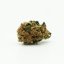 CBD hemp flower Wellness, 15% CBD, 0,2% THC ( 100g - 10 000g )