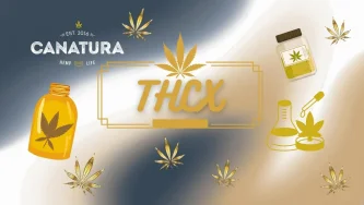 THCX – wat het is, effecten & producten