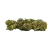 CBN flower Pineapple Haze - 40 % CBN, 100 g - 10 000 g
