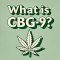 Text: What is CBG9 on light green background and hemp leaf