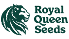 Royal Queen Seeds