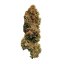 Royal Queen Seeds Cannabis Seeds White Widow Feminized