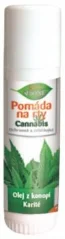 Bione Cannabis Lip Balm, 17 ml - 25 pieces pack, 425 ml