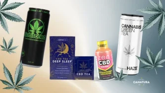 Hemp drinks: energy drinks, CBD teas, and lemonades