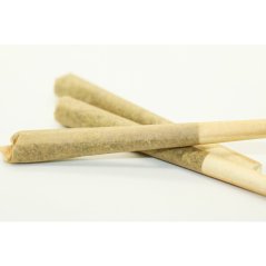 H4CBD Prerolls 30% - 1,5 gr, 100 pcs - 100 000 pcs