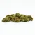 CBD Květ Orangello 12 %, 1 g - 100 g