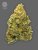 The Bulldog Seeds TB Lemon Haze Auto, 3 and 5 pcs