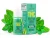 CanaPuff THC+ течност Fresh Mint, 89 mg, 30 ml