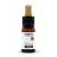 Nature Cure CBG eļļa - 20% CBG, 2000mg, 10 ml