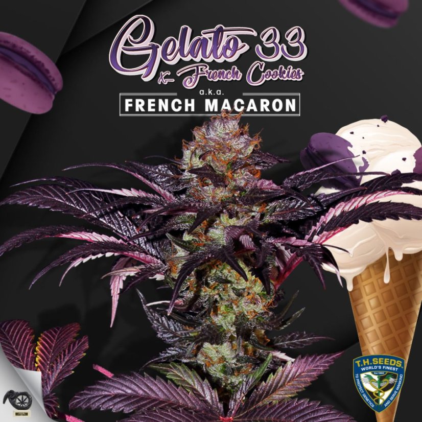 T.H.Seeds™ Cannabis Seeds French Macaron, various pack, feminized