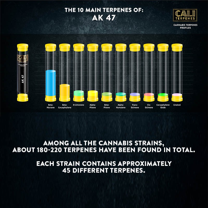 Cali Terpenes - АК 47, 1 - 1000 мл