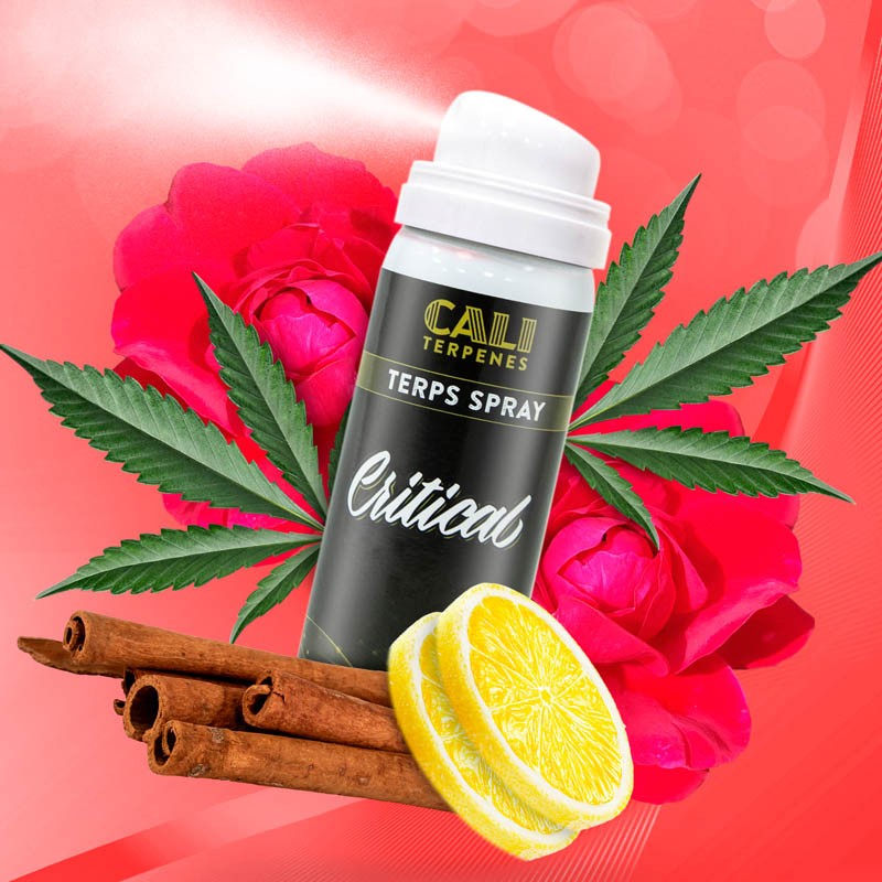 Cali Terpenes Терпс спреј - ЦРИТИЦАЛ, 5 мл - 15 мл