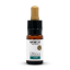 Nature Cure CBG eļļa - 10% CBG, 1000mg, 10ml