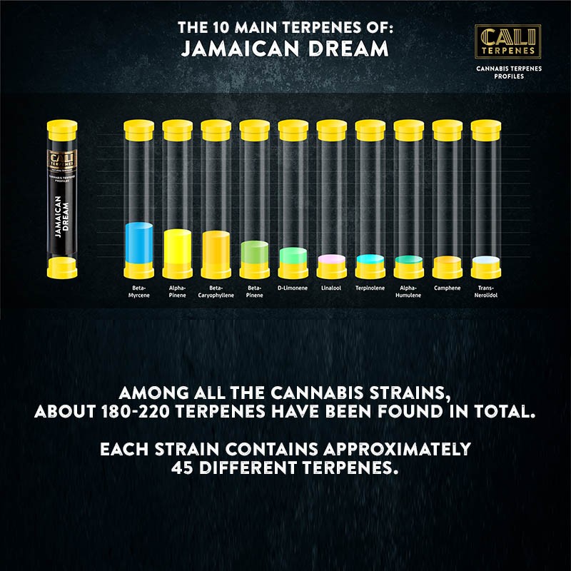 Cali Terpenes - Јамајкански сан, 1 - 1000 мл