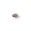 The Bulldog Seeds TB Lemon Haze Auto, 3 un 5 gab