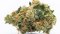 Use of raw CBD flowers