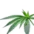 HPC