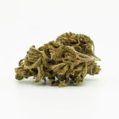 H4CBD White Widow flower 30% H4CBD, 100 g - 10 000 g
