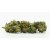 CBN květ Strawberry Cough  - 50 % CBN, 100 g - 10 000 g