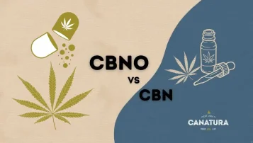 CBNO vs CBN CBNO vs CBN