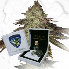 T.H.Seeds™ Cannabis Seeds Limited Regular Edition Gelato 33 X Birthday Cake X SBC, 11 kpl