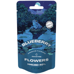 Canntropy H4CBD květ Blueberry 40%, 1g - 100g