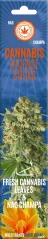 Cannabis Incense Sticks Fresh Cannabis & Nag Champa - Carton (6 packs)
