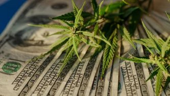 What will be the path of CBD in the coming years?