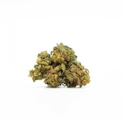 HHC Flower Amnesia Haze 20%, 100g - 10 000g