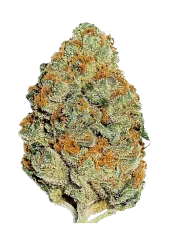 Fast Buds Cannabis Seeds Lemon Mandarin Feminized