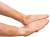 Кожне микозе, гљивице