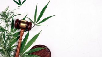 HHC legislation: what is coming and how will it affect the market?
