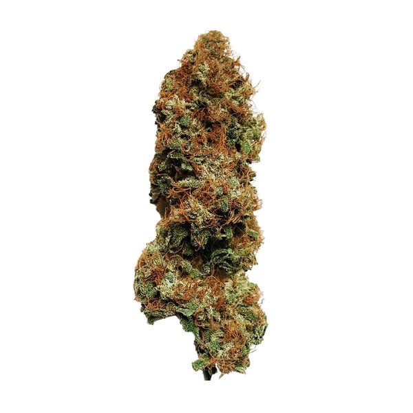 Royal Queen Seeds Cannabis Seeds White Widow Feminized