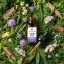 Herbican pilna spektra CBD eļļa, 30%, 10 ml