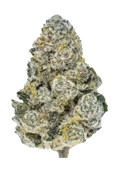Fast Buds Cannabis Seeds Lemonpaya Feminized