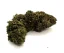 Czech CBD THCD kaņepju zieds Amnēzija, 1 g - 1000 g