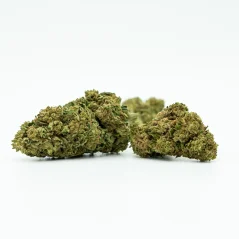 CBD gróðurhúsblóm Northern Light 11 %, 1 g - 100 g