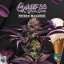 T.H.Seeds™ Cannabis Seeds French Macaron, various pack, feminized