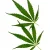 CBT производи