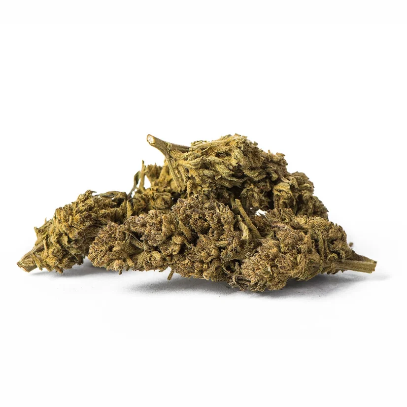 Euphoria CBD Weed Carmagnola Cheese, 100 g