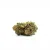 THCD Flower Maui Waui 10%, 100g - 5 000g